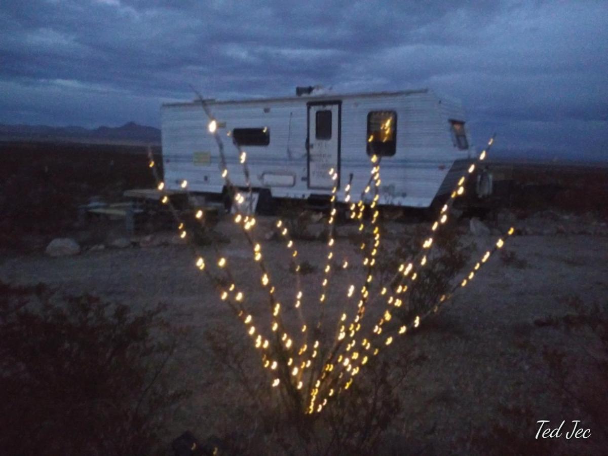 Camping At Desert Gardens Oasis At Lobo, Texas Van Horn Kültér fotó